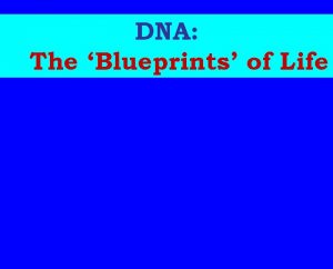 How many words can you make out of deoxyribonucleic acid