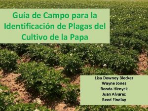 Gua de Campo para la Identificacin de Plagas