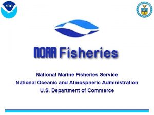National fisheries service National fisheries service