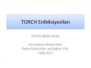 TORCH Enfeksiyonlar Prof Dr Babr Kaleli Pamukkale niversitesi