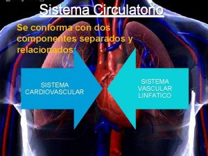 Sistema Circulatorio Se conforma con dos componentes separados