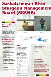 Saskatchewan River Sturgeon Management Board SRSMB What is