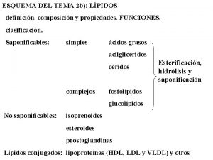 ESQUEMA DEL TEMA 2 b LPIDOS definicin composicin