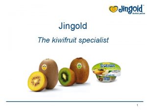 Jingold kiwi