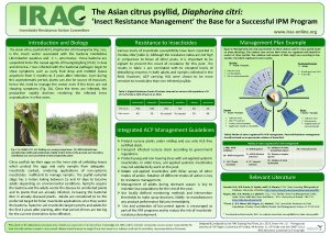 The Asian citrus psyllid Diaphorina citri Insect Resistance