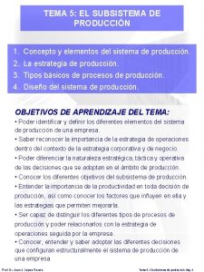 TEMA 5 EL SUBSISTEMA DE PRODUCCIN 1 Concepto