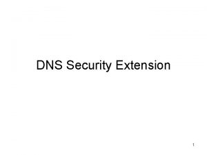 Dns security extension