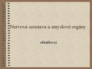 Neuron popis