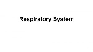 Respiratory System 1 Respiration external respiration internal respiration