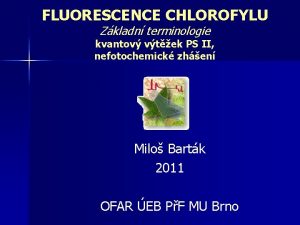 FLUORESCENCE CHLOROFYLU Zkladn terminologie kvantov vtek PS II