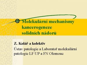 Molekulrn mechanismy kancerogeneze solidnch ndor Z Kol a