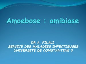 Amoebose amibiase DR A FILALI SERVICE DES MALADIES