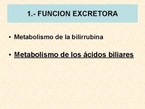 Metabolismo de los acidos biliares Metabolismo de los acidos biliares