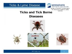 Ticks Lyme Disease Bureau of Workers Compensation PA