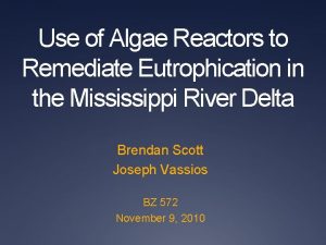 Use of Algae Reactors to Remediate Eutrophication in