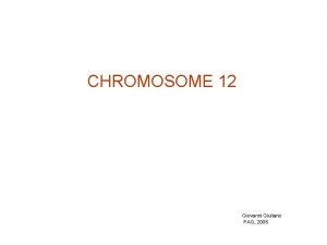 CHROMOSOME 12 Giovanni Giuliano PAG 2006 Tomato chr