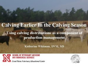 Calving Earlier In the Calving Season Using calving
