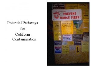 Potential Pathways for Coliform Contamination Fixing Positive Coliform