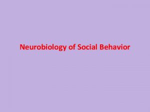 Neurobiology of Social Behavior Animal Social Behaviors Agonistic