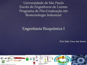 Universidade de So Paulo Escola de Engenharia de