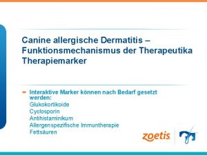Canine allergische Dermatitis Funktionsmechanismus der Therapeutika Therapiemarker Interaktive