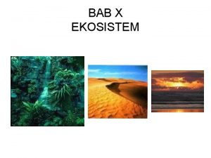 BAB X EKOSISTEM Habitat tanah yang lembab dihuni