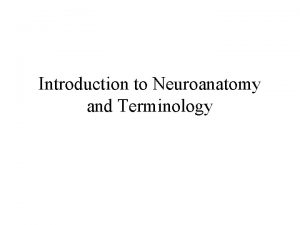 Introduction to Neuroanatomy and Terminology Main Regions of