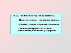 Tema 9 Fundamentos de gentica bacteriana El genoma