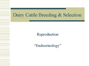 Dairy Cattle Breeding Selection Reproduction Endocrinology Topic Objectives