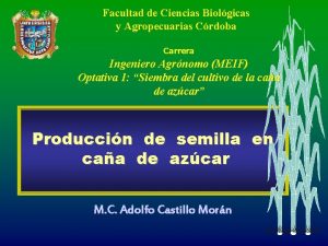 Facultad de Ciencias Biolgicas y Agropecuarias Crdoba Carrera