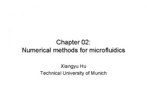 Chapter 02 Numerical methods for microfluidics Xiangyu Hu