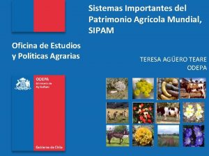 Ejemplos de sipam en el mundo