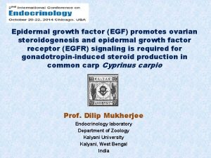 Epidermal growth factor EGF promotes ovarian steroidogenesis and