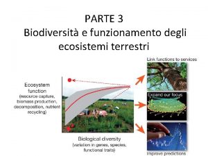 PARTE 3 Biodiversit e funzionamento degli ecosistemi terrestri