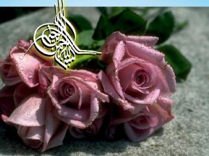 Who prognostic scoring system gtn Who prognostic scoring system gtn