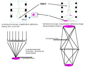 object image detector scanning microscope magnification defined by