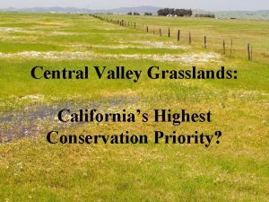Central Valley Grasslands Californias Highest Conservation Priority How