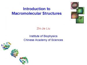 Introduction to Macromolecular Structures ZhiJie Liu Institute of