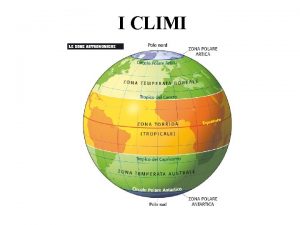 Biomi scuola primaria Biomi scuola primaria