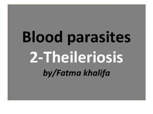 Blood parasites 2 Theileriosis byFatma khalifa Defination Theilerioses