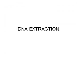 DNA EXTRACTION Have you done DNA extractions with