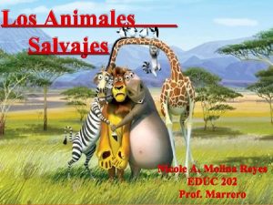 Los Animales Salvajes Nicole A Molina Reyes EDUC