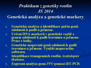 Praktikum z genetiky rostlin JS 2014 Genetick analza