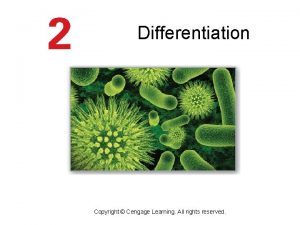 Differentiation Copyright Cengage Learning All rights reserved The Differentiation Copyright Cengage Learning All rights reserved The
