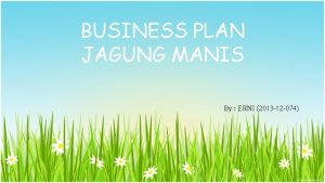 Business plan jagung