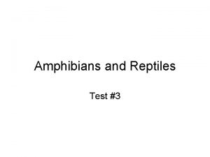 Amphibians and Reptiles Test 3 Class Amphibia First