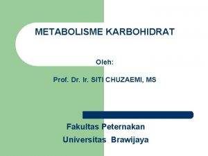 Siti chuzaemi Siti chuzaemi