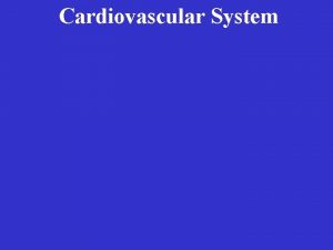 Cardiovascular System Cardiovascular System Two divisions Cardiovascular System