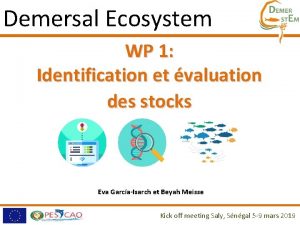 Demersal Ecosystem WP 1 Identification et valuation des