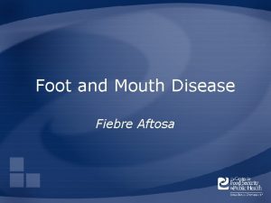 Foot and Mouth Disease Fiebre Aftosa Overview Organism